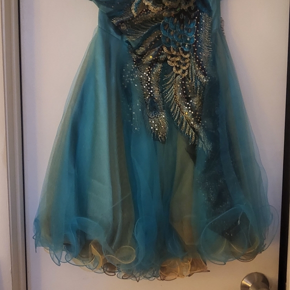 Party/prom/Christmas dress - Picture 10 of 12